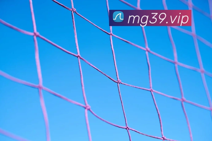 mg体育满贯官网品牌故事